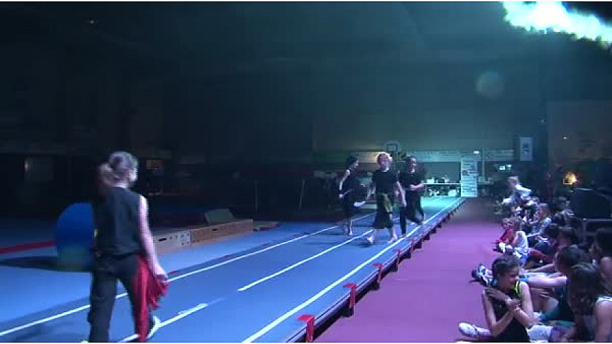 Gymnastique Gala 2016
