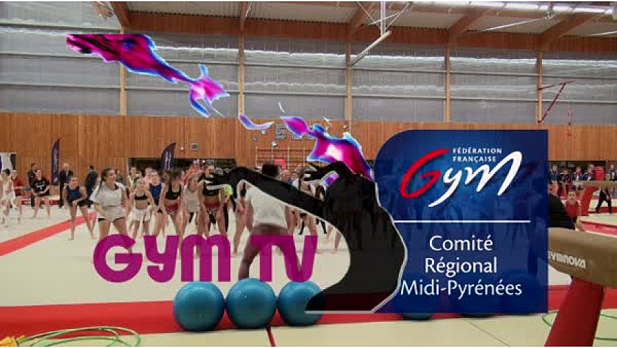 Gymnastique: le comité Midi-Pyrénées organisait le FESTI CLUBS LOISIR événement dédié à la Gym Pour Tous le 19 novembre .