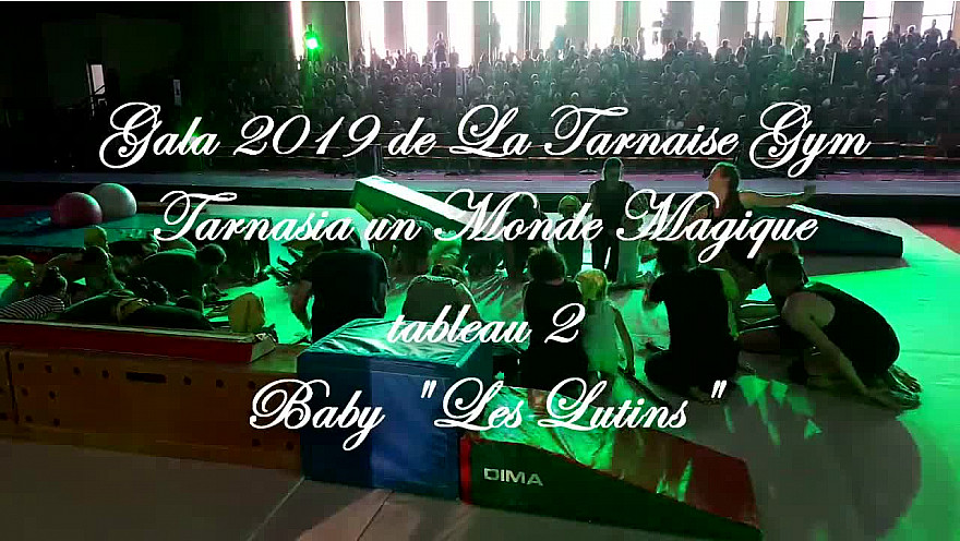 Gala 2019 de la Tarnaise Gym: Tableau 2 'Les Lutins'